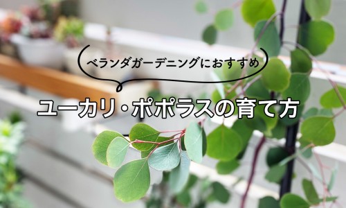 测脂肪的滤纸是定性滤纸吗-测脂肪的-专业测脂肪的方法平台-测脂肪的方法