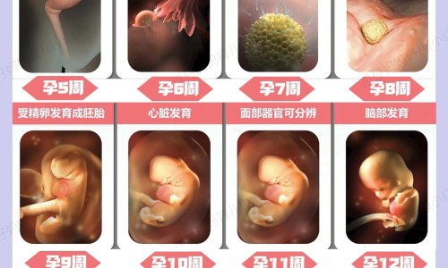 测脂肪的仪器对身体有害吗?-测脂肪的-专业测脂肪的方法平台-测脂肪的方法