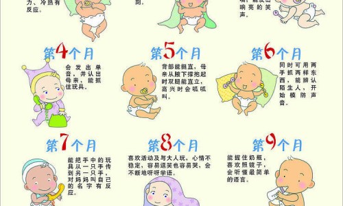 测脂肪的-专业测脂肪的方法平台-测脂肪的方法